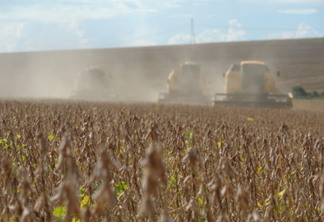 TEMPO FAVORÁVEL: colheita da soja avança e chega a 60% na região