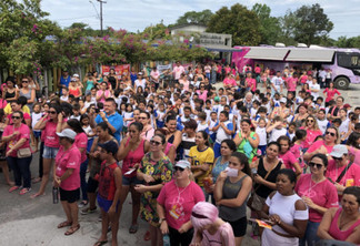 Campanha Paraná Rosa mobiliza mais de 40 mil pessoas