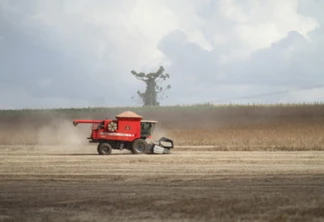 Extração de óleos e culturas de inverno são temas de dia de campo