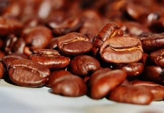 Exportação de café robusta cresce 4,7% em maio, aponta Cecafe