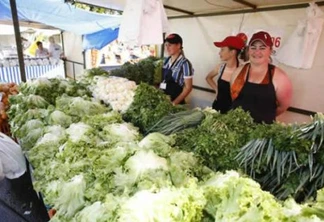 Mudança do transporte tira 30% da renda da feira