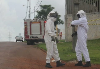 Ataque de abelhas é registrado em condomínio da região oeste de Cascavel