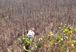 Identificado corpo encontrado em Ibema