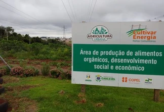 Agricultura urbana: parcerias rendem bons frutos e mais qualidade de vida para população
