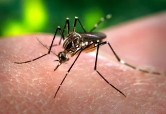 Atenção: Surto de dengue coloca a visão em risco