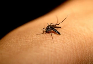 Epidemia: Foz registra primeiro óbito por dengue