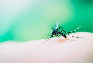 Região oeste tem 2 mil casos de dengue confirmados
