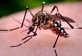 Paraná tem um município em epidemia e oito em alerta para a dengue