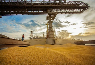 Exportações de milho já superam todo o ano de 2018