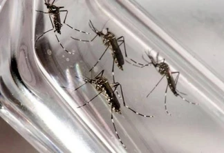 Boletim semanal da dengue confirma morte na região Oeste