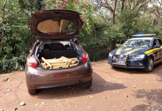 PRF prende homem com 85 quilos de maconha em carro roubado no Paraná