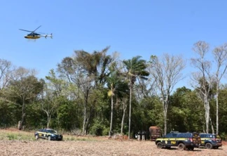 Com ajuda de helicóptero, PRF e Polícia Civil encontram caminhão com cigarro em meio à mata