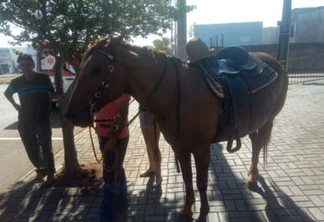Homem tem ferimentos graves ao sofrer queda de cavalo em Toledo