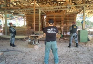 Polícia fecha serraria clandestina na fronteira com a Argentina
