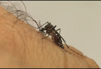 Sete municípios em epidemia reforçam o alerta para a dengue