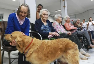 Projeto Meu Amigo Animal proporciona alegria para idosos de Toledo