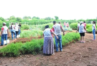 Projeto “Cultivando Saúde e Saberes”, em Santa Terezinha - Foto: DCSTI