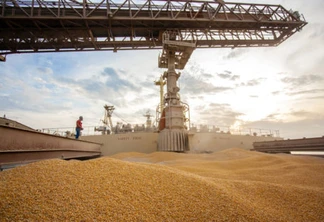 Exportação de milho via Porto de Paranaguá cresce 503%