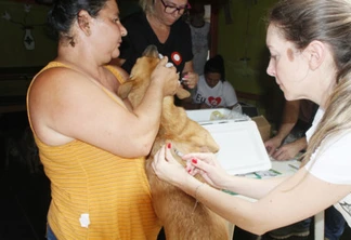 Mais 40 animais são vacinados pela coordenação de defesa e proteção animal em Toledo