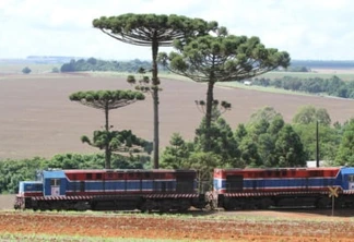 Pela 1ª vez na história, Ferroeste registra lucro