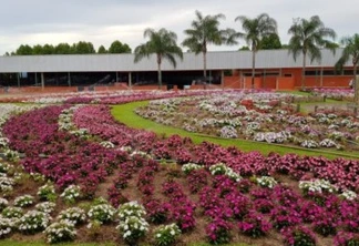 Jardins já dão colorido ao parque que vai receber o 32º Show Rural