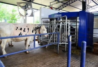 Show Rural vai apresentar ciclo com robôs na pecuária de leite