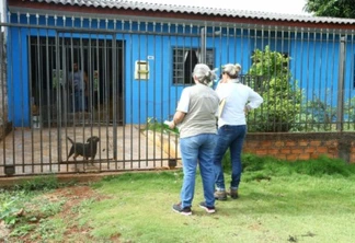 Ação de combate a Dengue já visitou mais de 48 mil casas em Cascavel