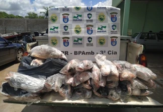 Polícia Ambiental apreende 118 quilos em pesca ilegal