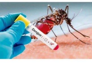 Epidemia de dengue atinge metade das cidades do PR
