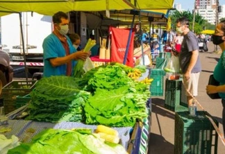 Feiras de Maringá voltam a funcionar com medidas de segurança