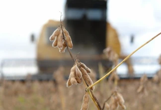 Após colheita, soja entregue à cooperativa será beneficiada para produção de biocombustível