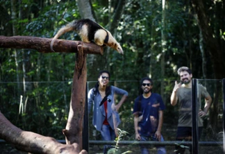 Atrativo volta a receber turistas após três meses fechado

FOTO: SkyTakes/Árvores Filmes