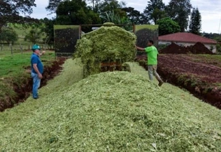 Produtores rurais de Santa Terezinha recebem auxílio na produção de silagem