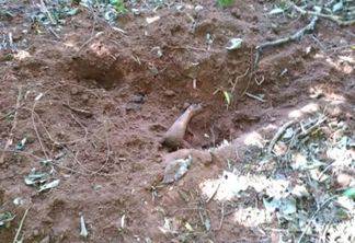 Corpo de mulher é encontrado enterrado na Estrada Moema em Umuarama