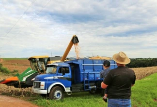 Produtores têm bons resultados, apesar de estiagem durante ciclo do milho - Foto: Assessoria 