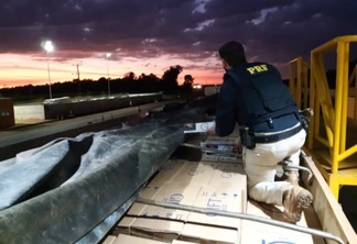 Polícia apreende carreta com 350 mil maços de cigarros contrabandeados em Cascavel