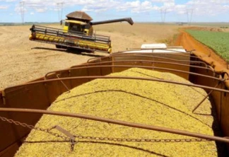Boletim agropecuário destaca exportação do complexo soja