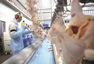 Carne de frango: Paraná responde por 40% do total exportado no Brasil