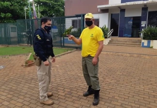 Papagaio com sinais de maus-tratos é resgatado em Guaíra