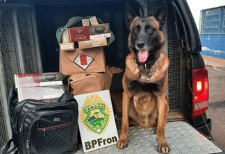 BPFron apreende em Cascavel cigarros de cravo contrabandeados do Paraguai