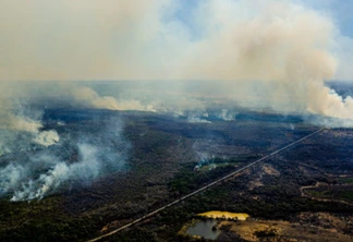 Recuperação do Pantanal pode levar 40 anos, avalia pesquisador da Unila