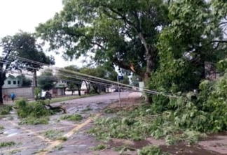 Ventos derrubam árvores e vários bairros de Cascavel ficam sem energia elétrica