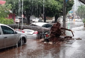 Chuva derruba muros e destelha casas em Maringá