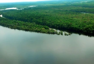 Conselho do PPI recomenda concessão de florestas no Amazonas