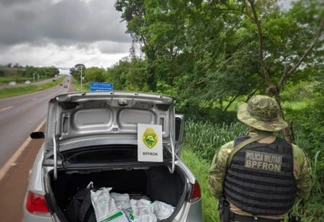 BPFron aprende agrotóxicos contrabandeados durante Operação Hórus em Foz do Iguaçu