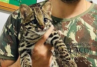 Zoológico de Cascavel tem novo morador