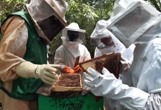 Curso de apicultura é o primeiro de 2021 na Agrotec