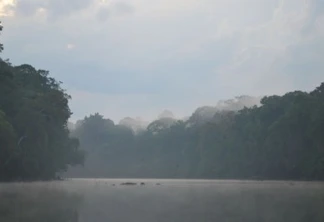 Floresta Nacional do Amapá