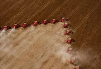 Plantação, Colheita de Soja