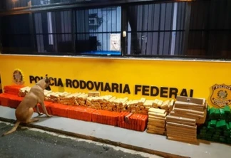 Meia tonelada de maconha é apreendida na região metropolitana de Curitiba